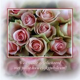 Huwelijksjubileum  width=