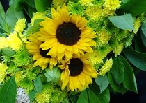 *** ANSICHTKAARTEN ***  width=