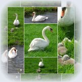 JAARGETIJDEN   width=