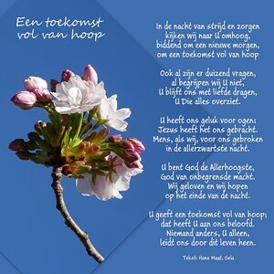 'Toekomst', Fotokaart nr. LD-22