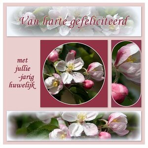 'Z&oacute;veel jaar getrouwd' Fotokaart nr. HU-03