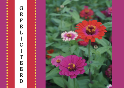 Gefeliciteerd bloem (ansichtkaart)