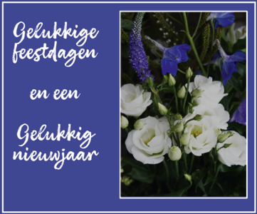 Fijne kerstdagen, blauwe bloem