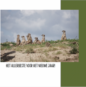 Vooruit kijken, kerstkaart