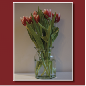 Tulp in vaas 
