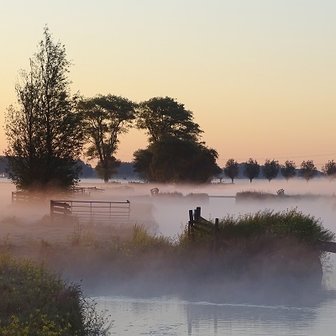 Ochtendnevel Alblasserwaard