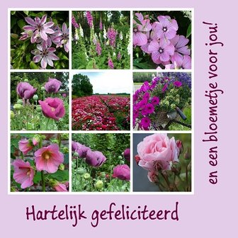 Bloemetje voor jou, Fotokaart nr. FE-15