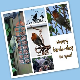 &#039;Birds-day&#039;, Fotokaart nr. FE-09