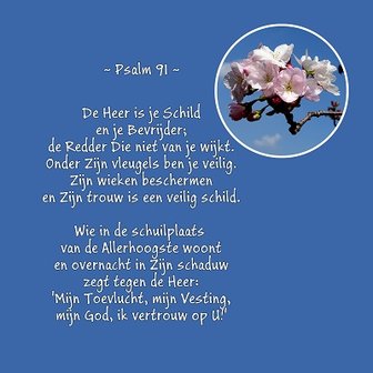 Psalm 91, Schuilplaats, Fotokaart nr. TE-32