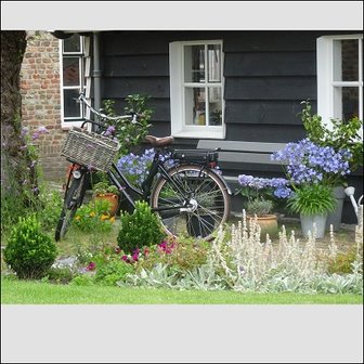 Fiets in bloementuin, nr. BL-34