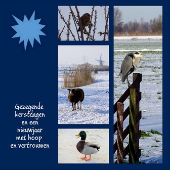 KV-08, Reiger in sneeuw