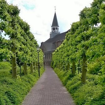 Kerkenpad, fotokaart nr. SY-09.