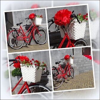 Rode fiets, fotokaart - Fotokaartencarine