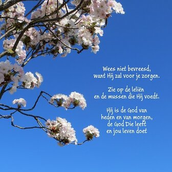 Zie op de leli&euml;n