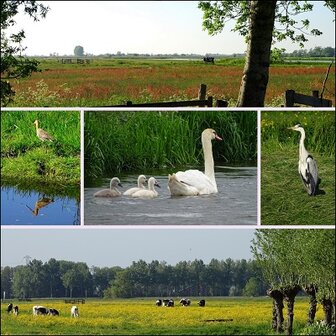 Natuurlijk Alblasserwaard