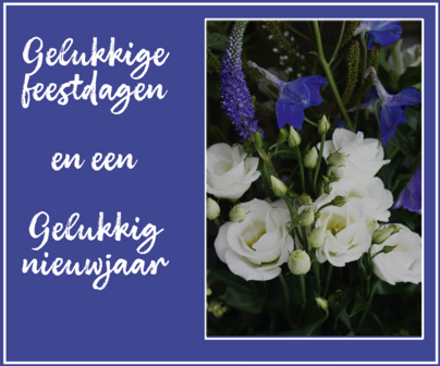 Fijne kerstdagen, blauwe bloem