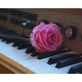 Roos op piano
