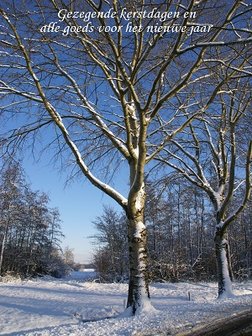 Doorkijkje (Ansichtkaart)