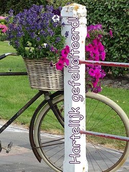 Felicitatie, fiets Ansichtkaart)