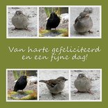 Vogelfelicitatie