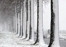 Sneeuwstorm (Ansichtkaart)