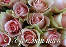 Vô joe, rozen (Ansichtkaart)