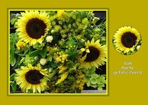 Felicitatie, zonnebloemen (Ansichtkaart)