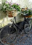 Vrolijke opoefiets (Ansichtkaart)