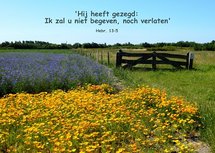 Belofte (Ansichtkaart)