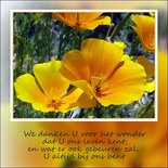 Danken voor het wonder