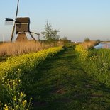 Broeklandse molen