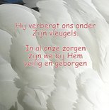 Onder Zijn vleugels