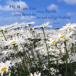 Veilige Vesting
