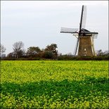 Molen 'Korenhoop' Meliskerke