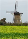 Molen Meliskerke (Ansichtkaart)