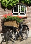 Fiets 'Corrie' Ansichtkaart)