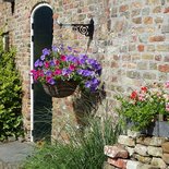 Bloemenmuur