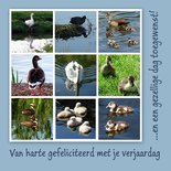 Watervogels