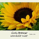 Psalm 136, Gods trouw