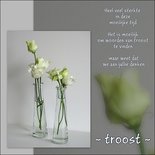 Troost