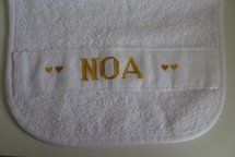 Slab 'NOA'