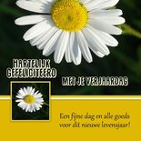 Felicitatie, margriet