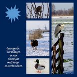 Reiger in sneeuw