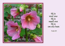 Naast ons, Psalm 139 (Ansichtkaart)