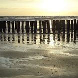 Strand bij avond