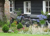 Fiets in tuin