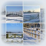 Hekken in sneeuw (ENKEL)
