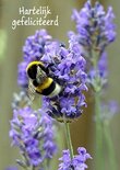 Hommel op lavendel (Ansichtkaart)