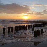 Ondergaande zon aan zee