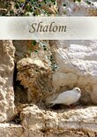 Shalom (Ansichtkaart kerst)